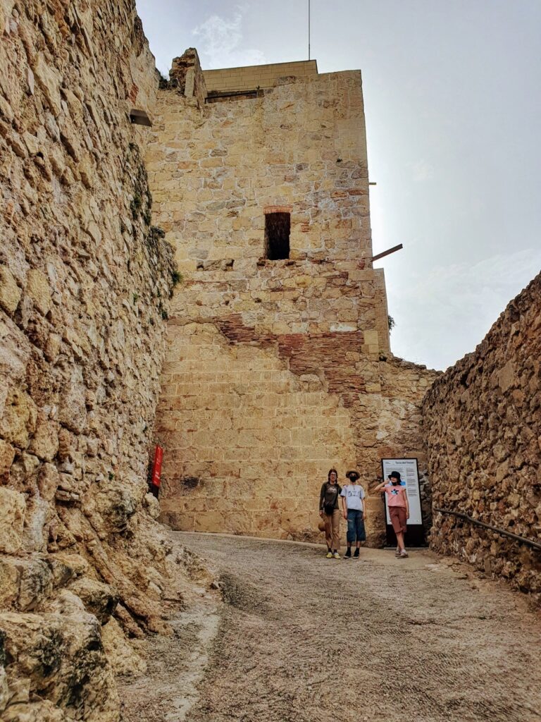 Castillo de Miravet