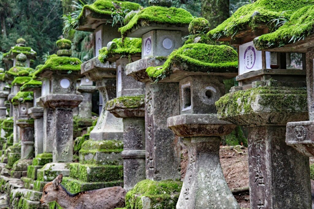 Qué ver en Nara. Santuario Kasuga taisha
